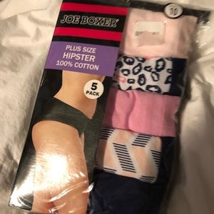 Plus size hipster panties